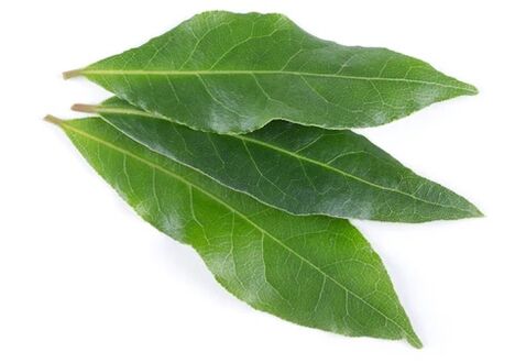 NEOflorax contient du laurier