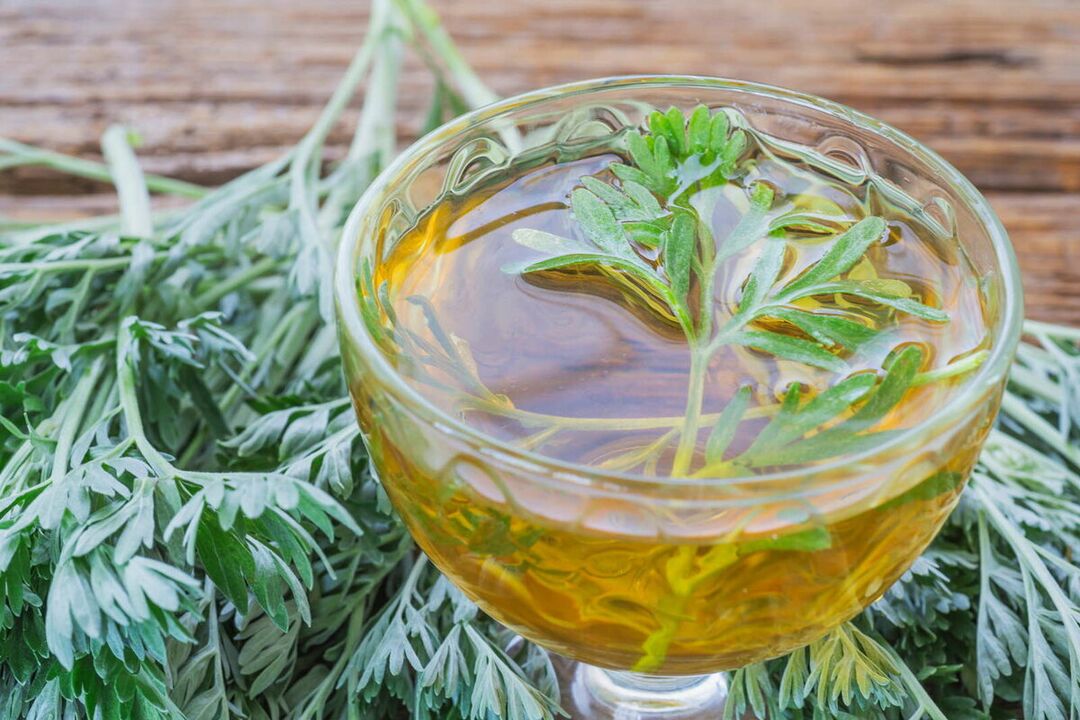Décoction d'absinthe contre les parasites