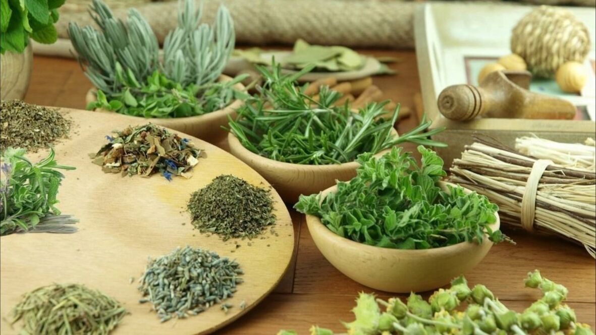 Herbes pour éliminer les parasites du corps