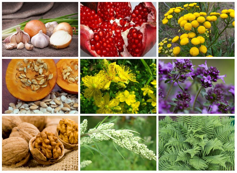 Herbes contre les parasites