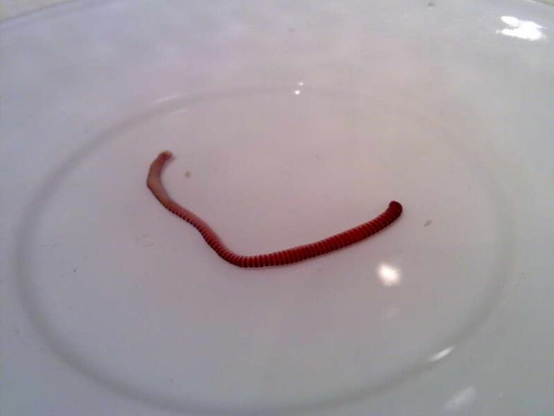 Parasite du corps humain